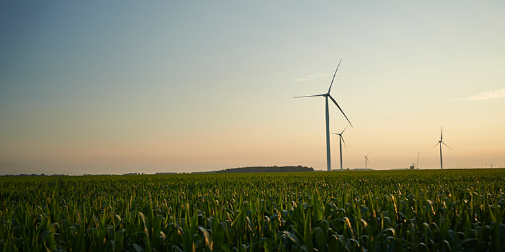Green Generation